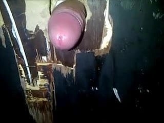 Nyata Genuine Respectableness Crack